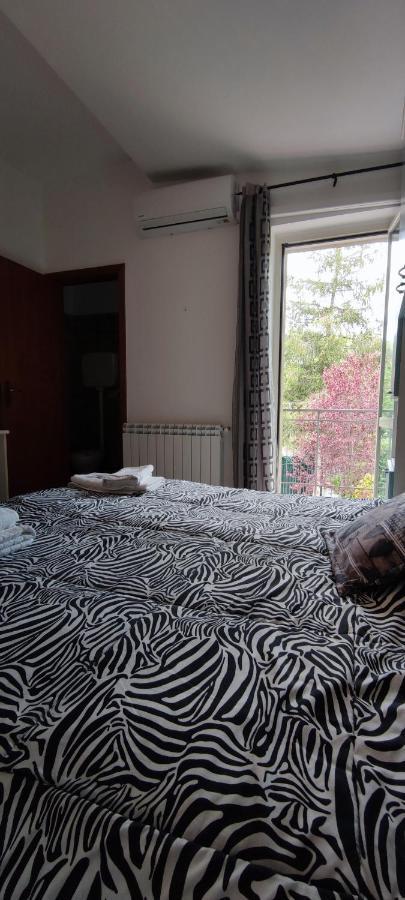 Il Ruscello Bed & Breakfast San Severino Bagian luar foto